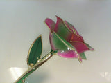 Pink & Green Gold Dipped Rose