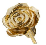 Gold Dipped Rose