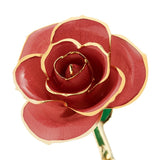 Coral Gold Dipped Rose