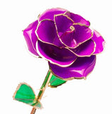Purple Gold Dipped Rose