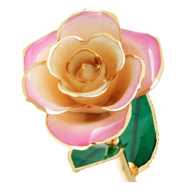 Rose Package- PICK YOUR COLOR (COMBO DEAL)