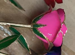 Rose Package- PICK YOUR COLOR (COMBO DEAL)