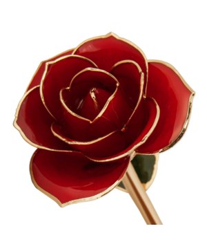 Rose Package- PICK YOUR COLOR (COMBO DEAL)