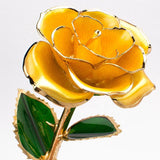 Yellow Gold Dipped Rose