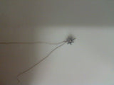PANDORA NECKLACE/PEND
