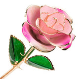 Rose Package - PICK YOUR COLOR (COMBO DEAL)