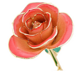 Gifts - Misc