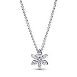 PANDORA NECKLACE/PEND