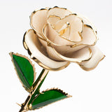 White Gold Dipped Rose