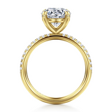 Engagement Ring"Center Diamond Not Included"