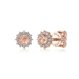 14K Rose Gold Earring EG11819K45MO
