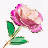 Pink & Purple Gold Dipped Rose
