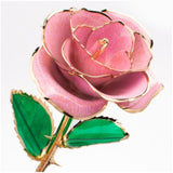 Light Pink Gold Dipped Rose