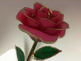 Pink Gold Dipped Rose