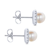 14K White Gold Earring EG13233W45PL