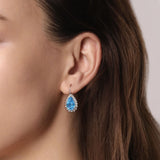 Sterling Silver (925) Earring EG14905SVJBT