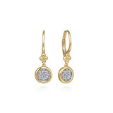 14K Yellow Gold, 14K White Gold Earring EG15016M45JJ