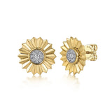 14K Yellow Gold, 14K White Gold Earring EG15046M45JJ