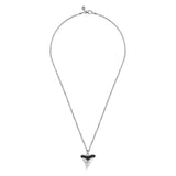 Sterling Silver (925) Necklace NKM2172-22SVJBS