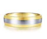 ALLOY DESIGNS