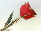 Red Gold Dipped Rose