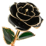 Black Gold Dipped Rose