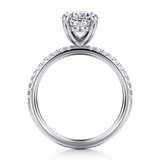 Engagement Ring"Center Diamond Not Included"