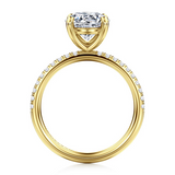 Engagement Ring"Center Diamond Not Included"