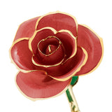 Valentine's Day Rose Package- PICK YOUR COLOR