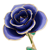 Royal Blue Gold Dipped Rose