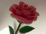 Valentine's Day Rose Package- PICK YOUR COLOR