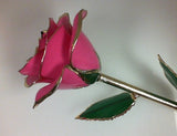 Valentine's Day Rose Package- PICK YOUR COLOR