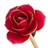 Valentine's Day Rose Package- PICK YOUR COLOR