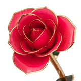 Valentine's Day Rose Package- PICK YOUR COLOR