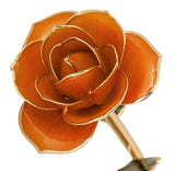 Rose Package - PICK YOUR COLOR (COMBO DEAL)