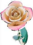 Rose Package - PICK YOUR COLOR (COMBO DEAL)