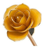 Rose Package - PICK YOUR COLOR (COMBO DEAL)