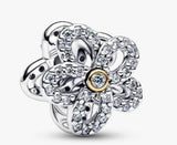 PANDORA CHARM