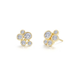 Silver Earring