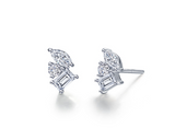 Silver Earring