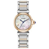 Watches  -  Ladie
