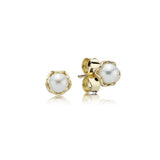 PANDORA EARRING
