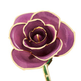 Lavender Gold Dipped Rose