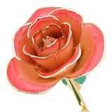 Rose Package - PICK YOUR COLOR (COMBO DEAL)