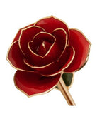 Ravishing Red Rose Gold Dipped Rose