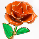 Orange Gold Dipped Rose