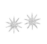 Silver Earring